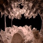 Savinder Bual, “Follis Arboreus,” pencil drawings layered within the folds of a concertina, DV PAL, 2'41'', looped, 2010 