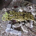 Chen Hangfeng, “Scattered Scenes Along Mei Creek,” video, HD, color, sound, 30’00’ 2012