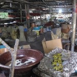 Chen Hangfeng, “Scattered Scenes Along Mei Creek,” video, HD, color, sound, 30’00’ 2012