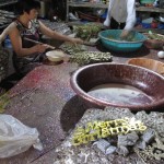 陈航峰, “梅源拾景,” 录像, 高清，彩色，有声音，30’00’, 2012