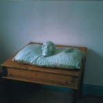 Regular·Fragile, 2002，sculpture