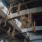 种族 . 玻璃纤维 . 170 x 70 x 30 cm