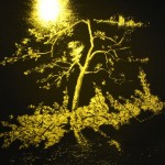 西窗 . 布面油画 . 154 x 167 cm . 2008