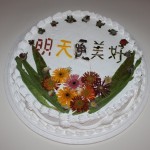 shelf life 2009-2010