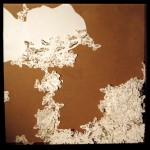 RH: Dropping Butterflies 50cm x 50cm x 4.5cm 2010