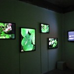 Invasive Species: The Vegetables 2010 Installation