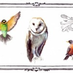 钻石的新历史 500 II, 2011