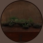 苏畅 . 未名山 之一, 