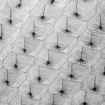 Wu-Gaozhong，-Roving-H-9-paper-82-x-102-cm-2010