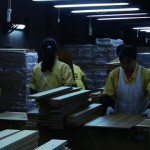 A Womens' Federation Director, 06,10mins