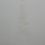 -炁-玛尼堆-布面油画-120-x-90-cm-2011-e1334811807270