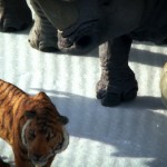 吴鼎, 因为山在那儿 录像, 2011