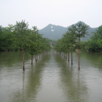 廖文峰，花树村, 录像，16′42″, 2006