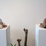 Thirteen Years Thirteen Years