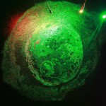 Iapetus, oil on canvas, 80 X 80 CM, 2012 