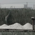 Li Xiaofei, “Salt,” HD video, audio, color, PAL, with English subtitles, 7”24’, 2013