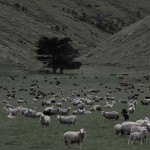 李消非, "流水线 26号", 高清录像, PAL, 彩色, 有声, 4分54秒, 2013 李消非, "流水线 26号", 高清录像, PAL, 彩色, 有声, 4分54秒, 2013