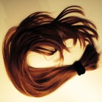 Virginie Lerouge Knight, My Son, fabric, human hair and plastic box, 100 x 25 x 5 cm, 2014 Virginie Lerouge Knight, My Son, fabric, human hair and plastic box, 100 x 25 x 5 cm, 2014